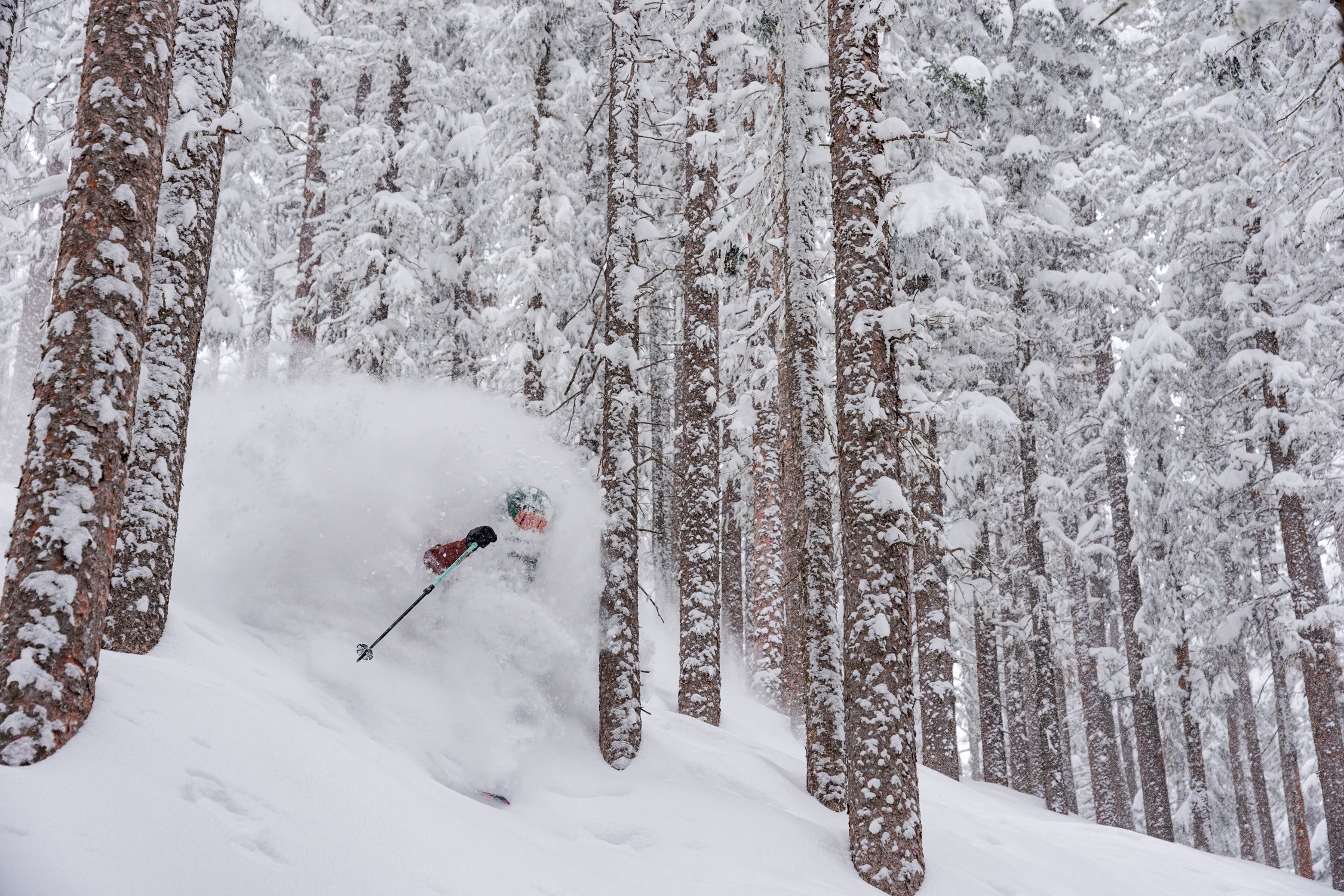 Ski & Snowboard Mujer