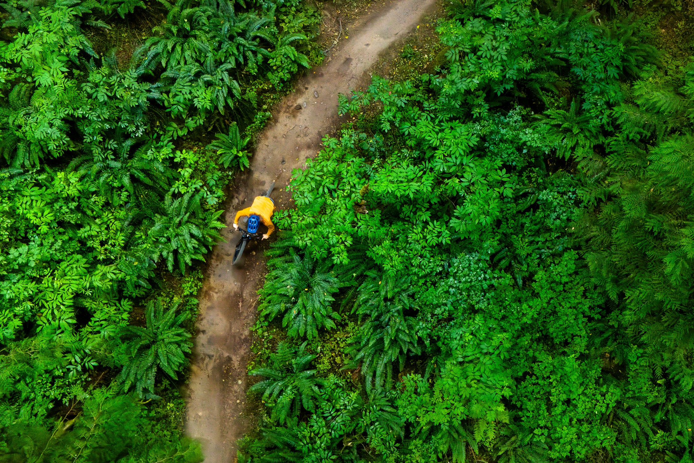 Mountain Bike Hombre