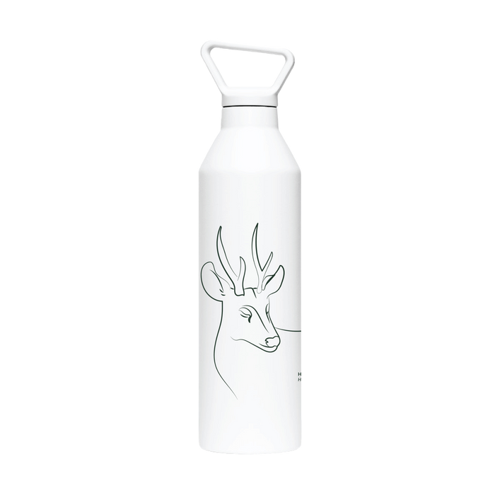 Miir Rewilding Chile 680ml