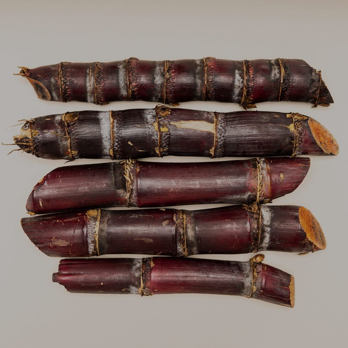 Poliéster de Base Biológica