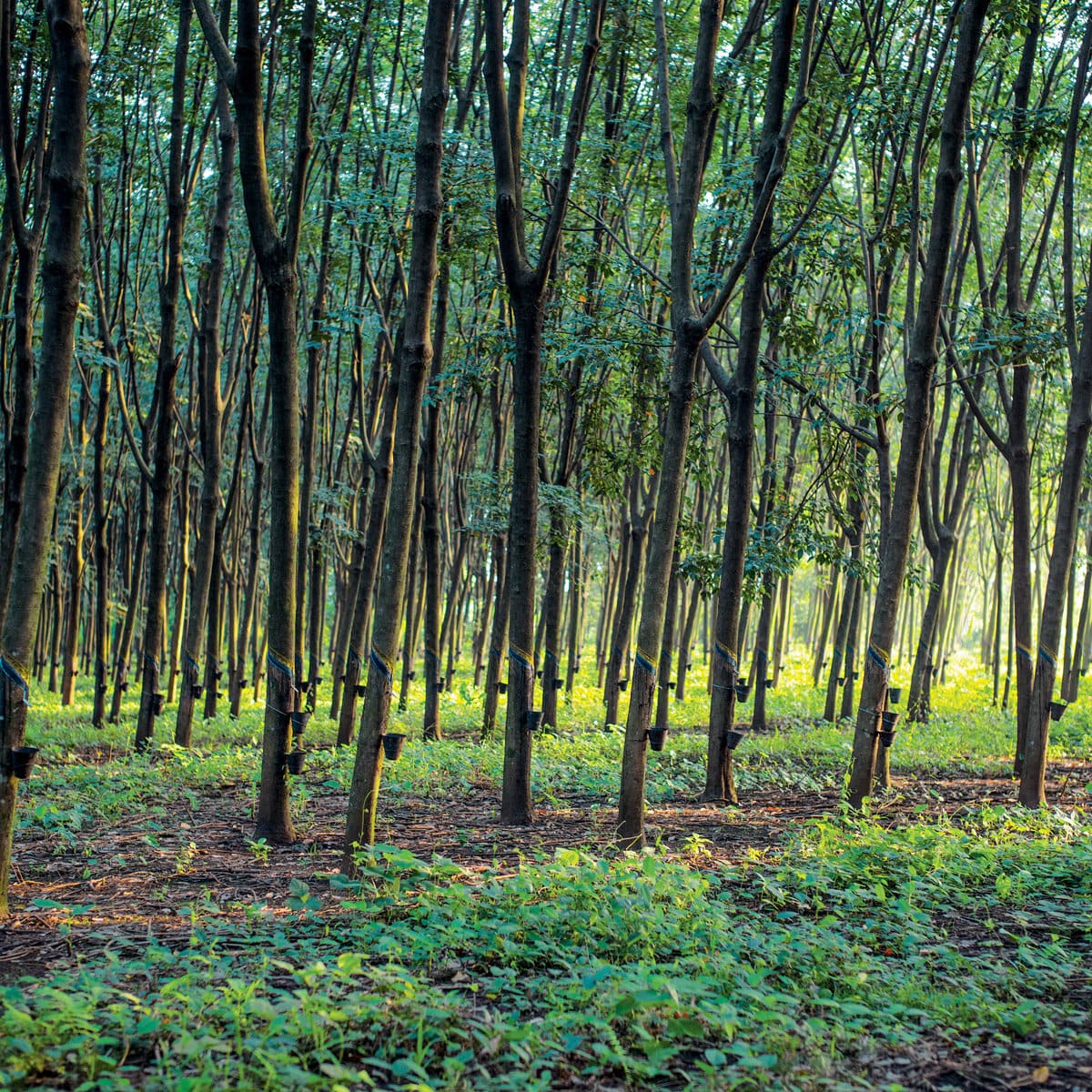 Trazabilidad de Materiales