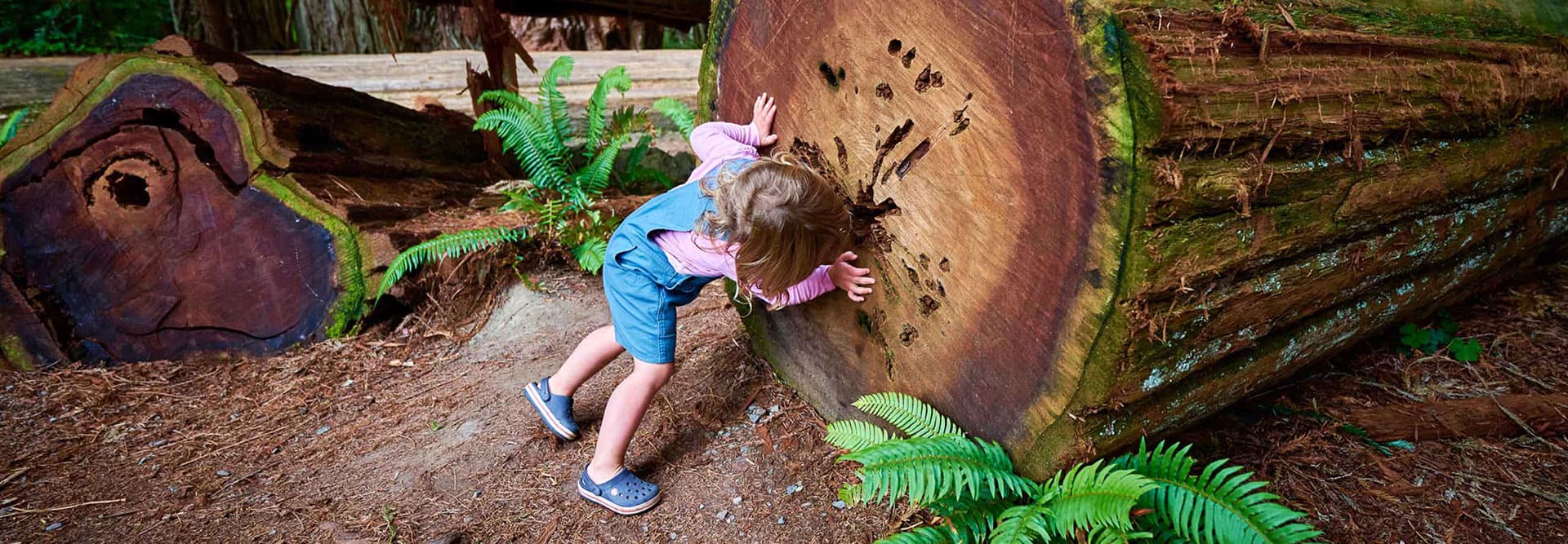 Nueva Temporada Hombre