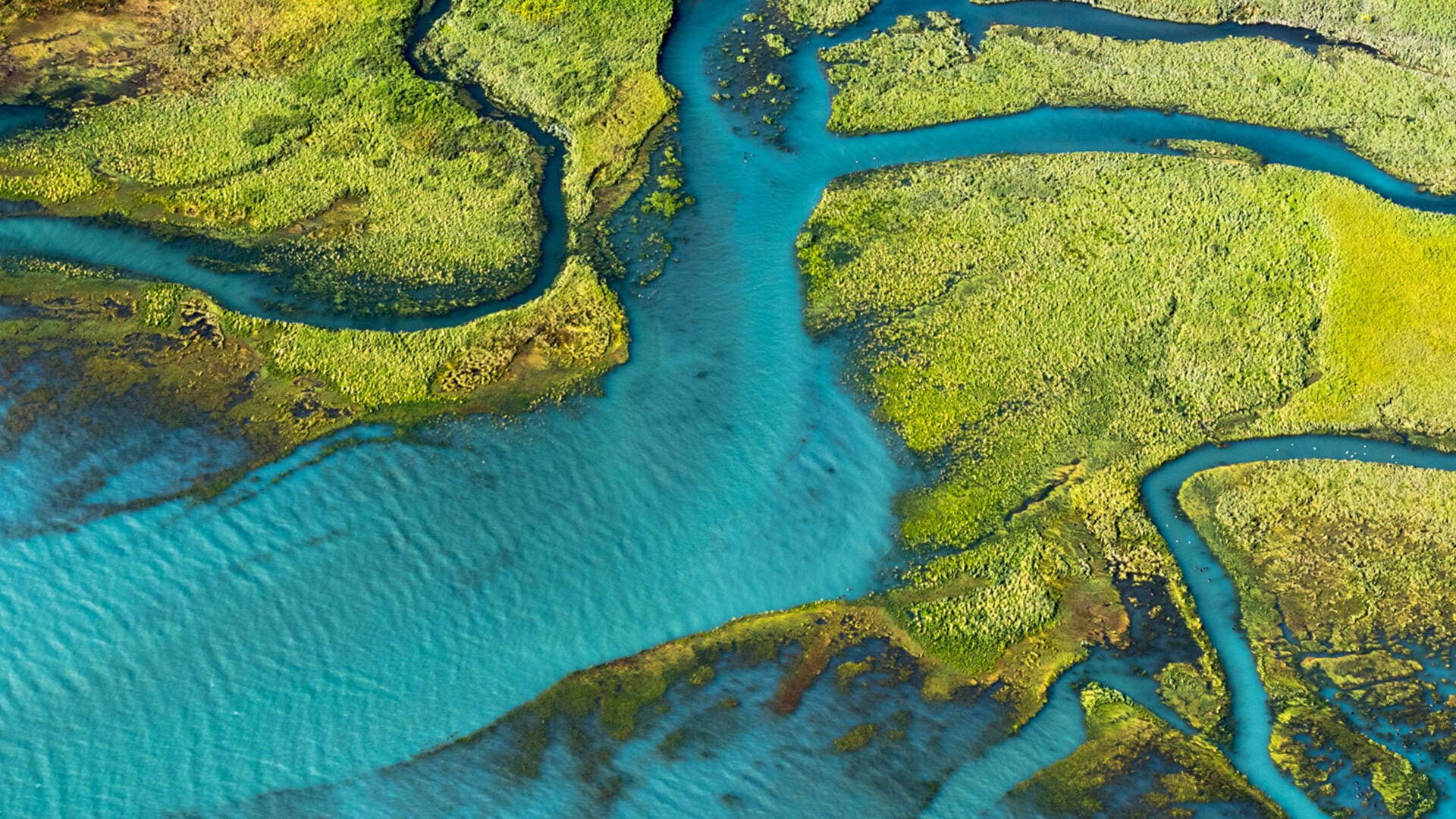 Responsabilidad Ambiental