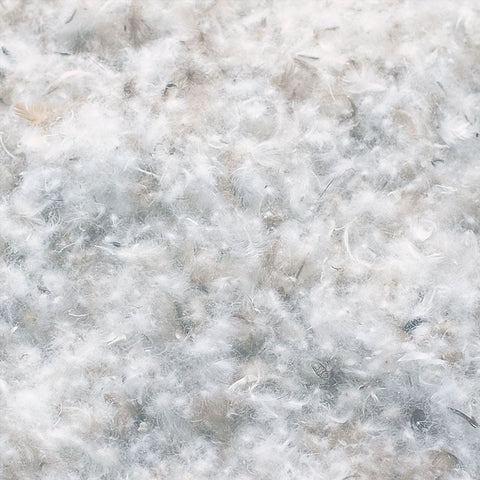 Estándar de Pluma Responsable