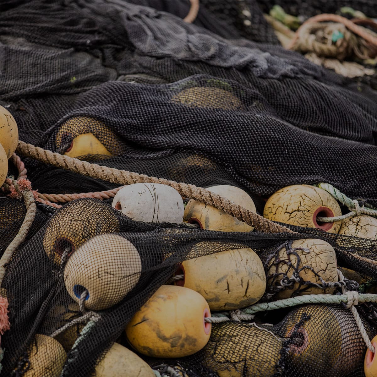 NetPlus® Redes de Pesca Recicladas